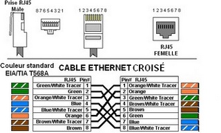 Câble réseau Ethernet (RJ45) croisé