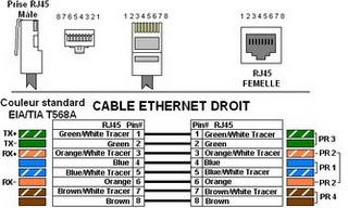 Câble réseau Ethernet (RJ45) droit