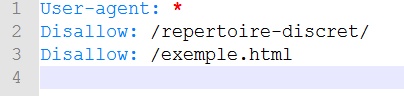 Exemple d'un fichier robots.txt écrit avec Notepad++